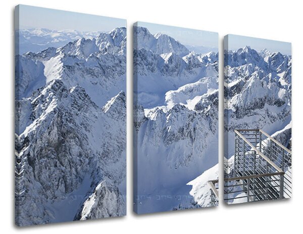 Tablou canvas 3 - 60x40 cm
