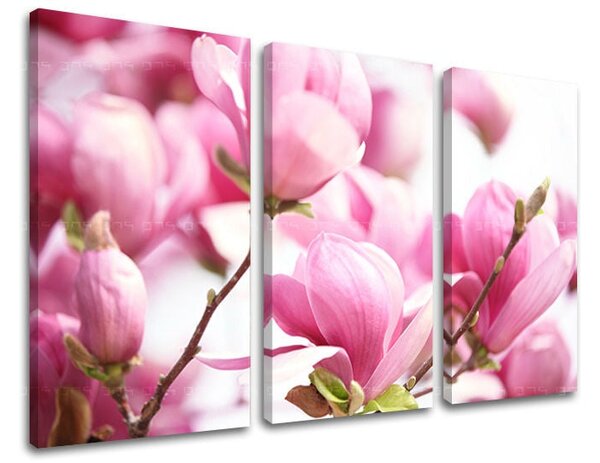 Tablou canvas 3 - 60x40 cm
