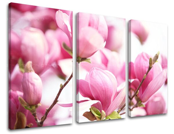 Tablou canvas 3 - 60x40 cm