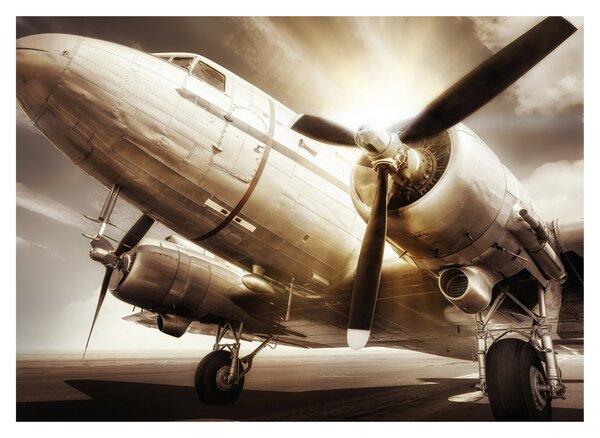 Tablou - Avion (70x50 cm)