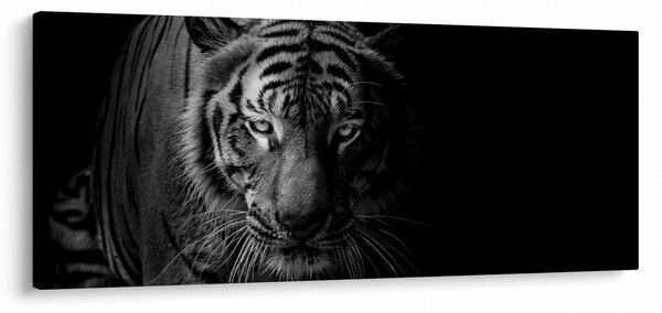 Tablou - Tigru sălbatic (120x50 cm)
