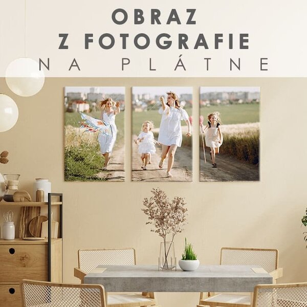 Tablou de perete din fotografie - 3 PARȚI - 60x40 cm