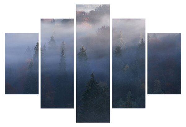 Tablou - Pădure în ceță, Carpați, Ucraina (150x105 cm)