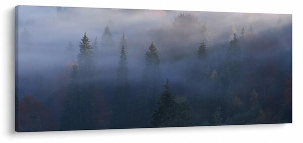 Tablou - Pădure în ceță, Carpați, Ucraina (120x50 cm)