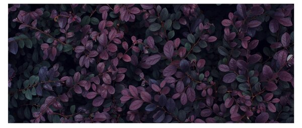 Tablou - Frunze roșu închis (120x50 cm)