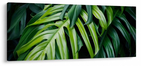 Tablou - Frunze tropicale (120x50 cm)