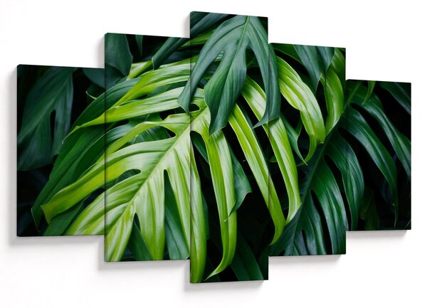 Tablou - Frunze tropicale (150x105 cm)