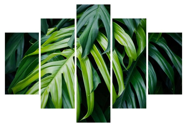Tablou - Frunze tropicale (150x105 cm)