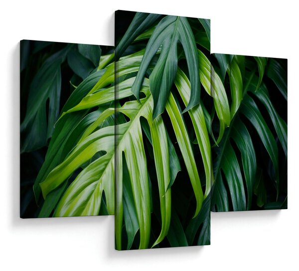 Tablou - Frunze tropicale (90x60 cm)
