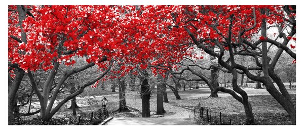 Tablou - Copaci roșii, Central Park, New York (120x50 cm)