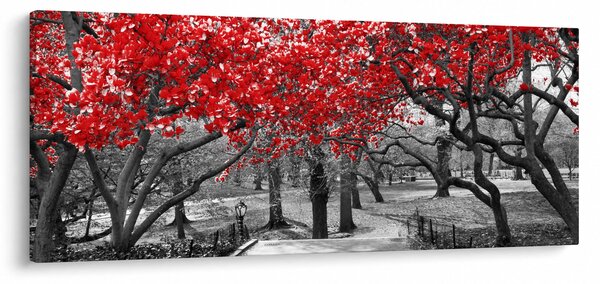 Tablou - Copaci roșii, Central Park, New York (120x50 cm)