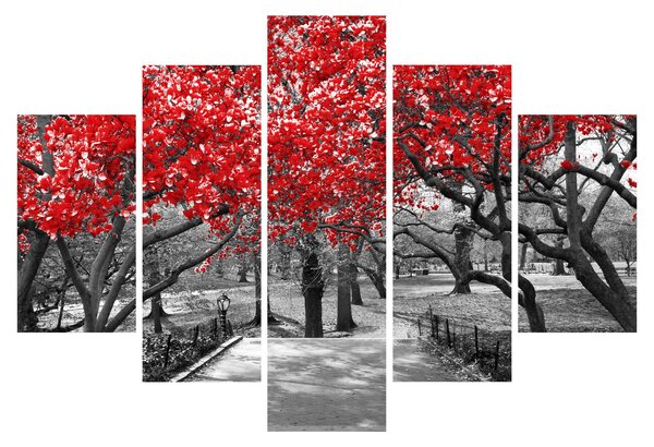 Tablou - Copaci roșii, Central Park, New York (150x105 cm)