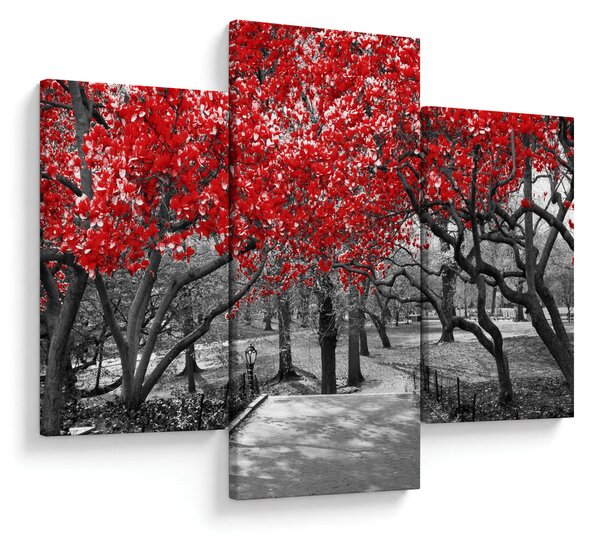 Tablou - Copaci roșii, Central Park, New York (90x60 cm)