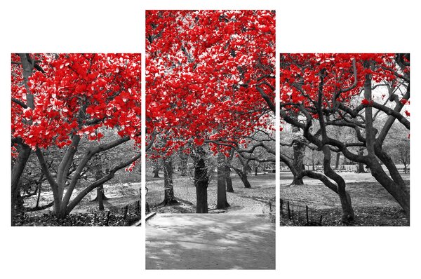 Tablou - Copaci roșii, Central Park, New York (90x60 cm)