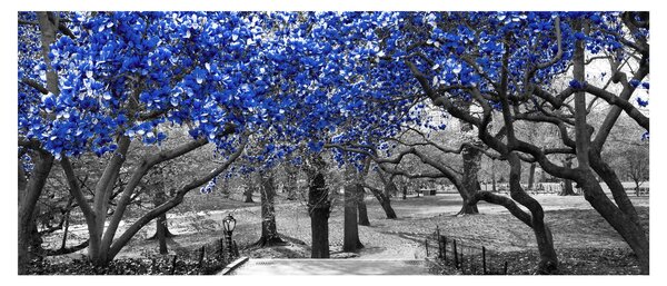 Tablou - Copaci albaștri Central Park, New York (120x50 cm)