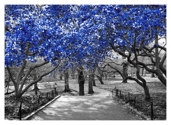 Tablou - Copaci albaștri Central Park, New York (70x50 cm)
