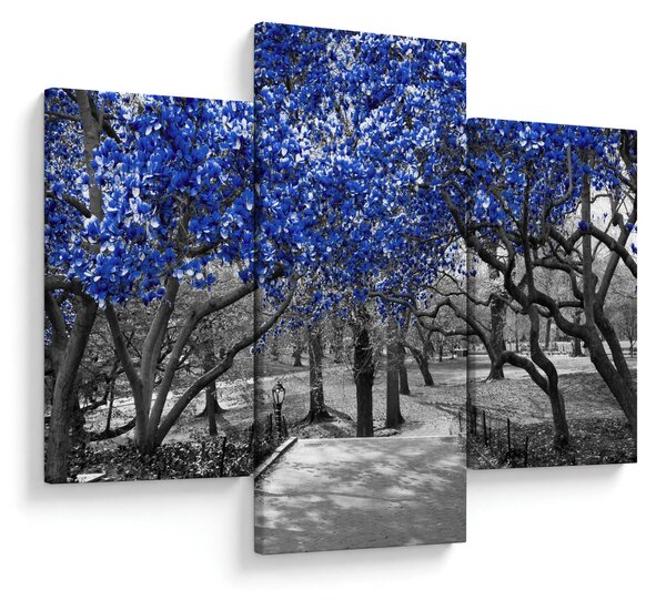 Tablou - Copaci albaștri Central Park, New York (90x60 cm)