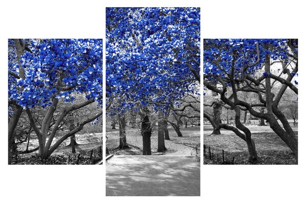 Tablou - Copaci albaștri Central Park, New York (90x60 cm)