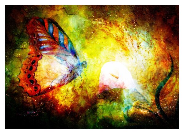 Tablou - Fluture spațial (70x50 cm)
