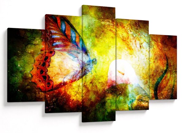 Tablou - Fluture spațial (150x105 cm)
