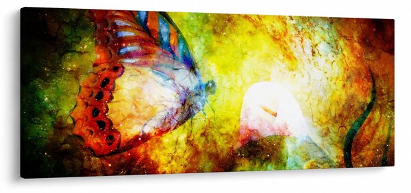 Tablou - Fluture spațial (120x50 cm)