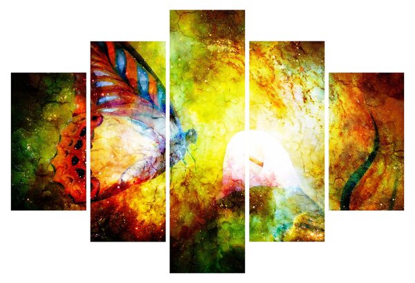 Tablou - Fluture spațial (150x105 cm)