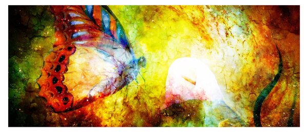 Tablou - Fluture spațial (120x50 cm)