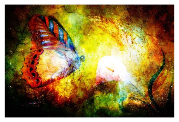 Tablou - Fluture spațial (90x60 cm)