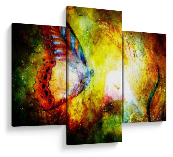 Tablou - Fluture spațial (90x60 cm)