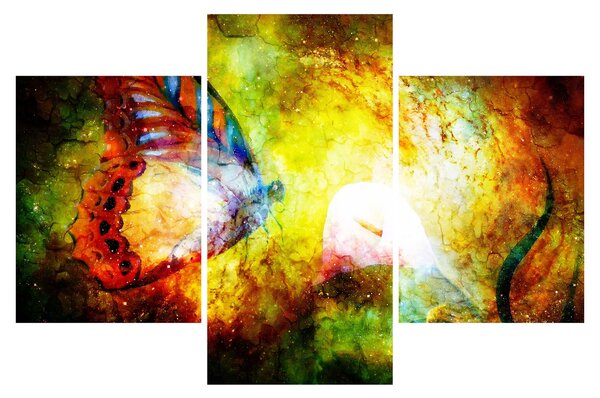 Tablou - Fluture spațial (90x60 cm)