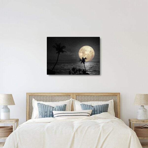 Tablou - Plaja cu lună plină, nuanțe gri (70x50 cm)