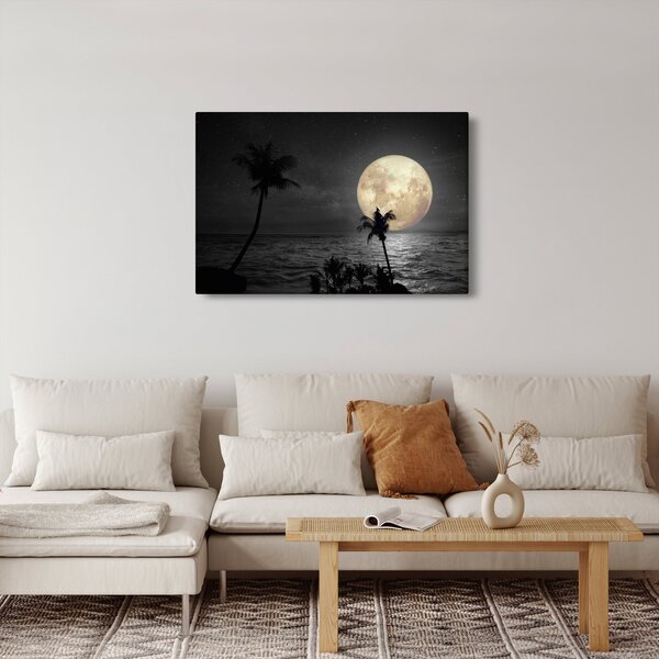 Tablou - Plaja cu lună plină, nuanțe gri (90x60 cm)