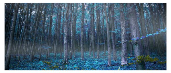 Tablou - Pădurea magică (120x50 cm)