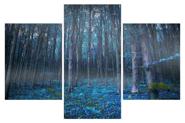 Tablou - Pădurea magică (90x60 cm)