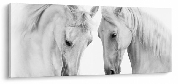 Tablou - Cai albi (120x50 cm)