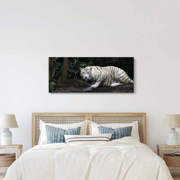Tablou - Tigru alb (120x50 cm)