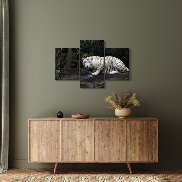 Tablou - Tigru alb (90x60 cm)