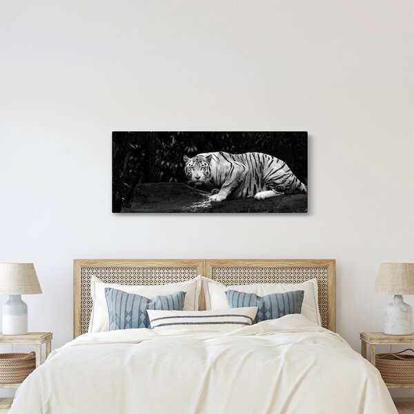 Tablou - Tigru alb, alb-negru (120x50 cm)