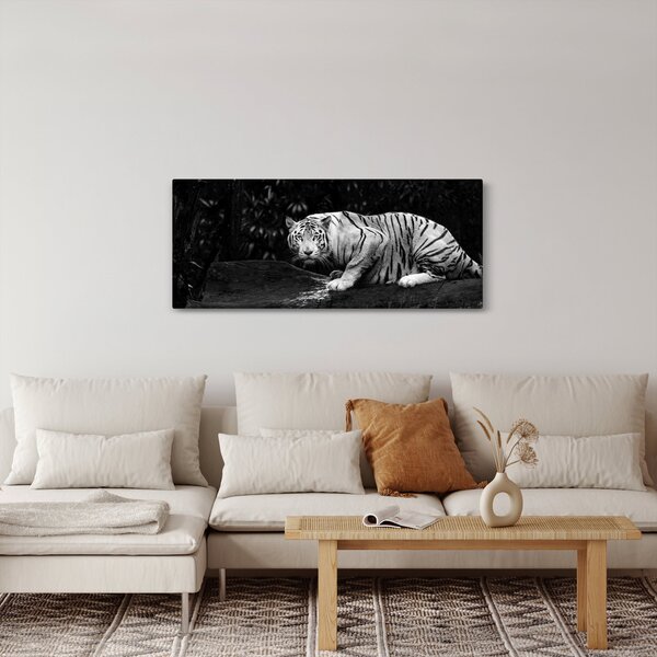 Tablou - Tigru alb, alb-negru (120x50 cm)