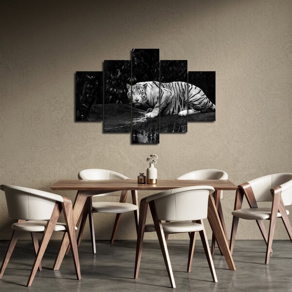 Tablou - Tigru alb, alb-negru (150x105 cm)
