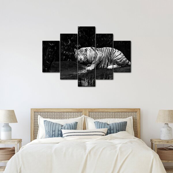 Tablou - Tigru alb, alb-negru (150x105 cm)