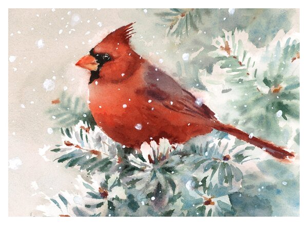 Tablou - Cardinal (70x50 cm)