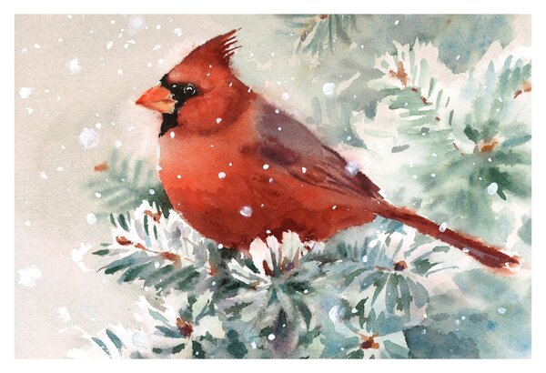 Tablou - Cardinal (90x60 cm)