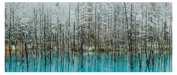 Tablou - Pescărie turcoaz, Biei, Japonia (120x50 cm)