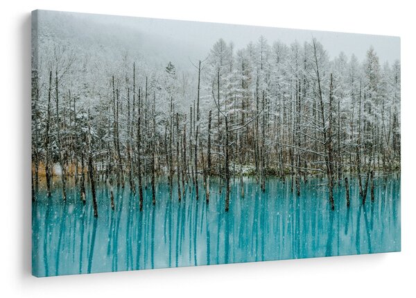 Tablou - Pescărie turcoaz, Biei, Japonia (90x60 cm)