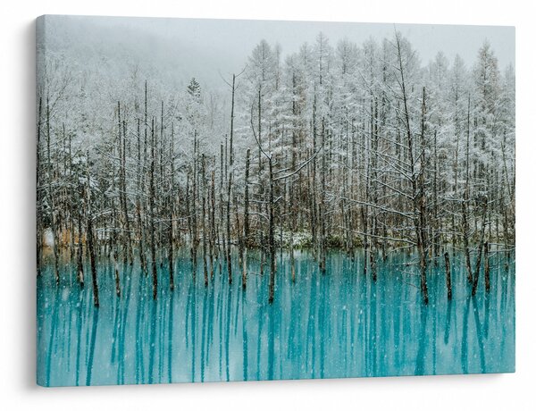 Tablou - Pescărie turcoaz, Biei, Japonia (70x50 cm)