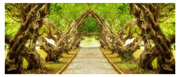 Tablou - Tunel viu din plumeria (120x50 cm)