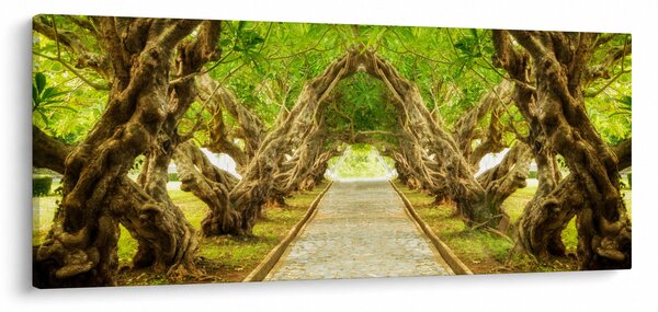 Tablou - Tunel viu din plumeria (120x50 cm)