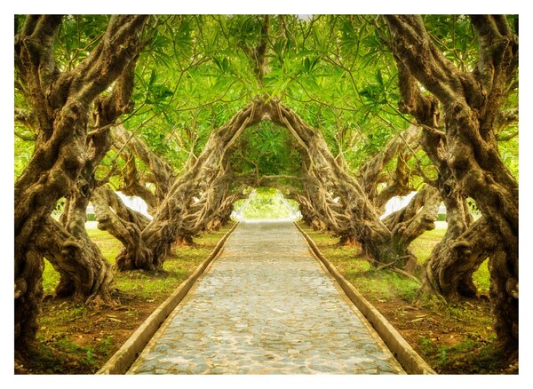 Tablou - Tunel viu din plumeria (70x50 cm)