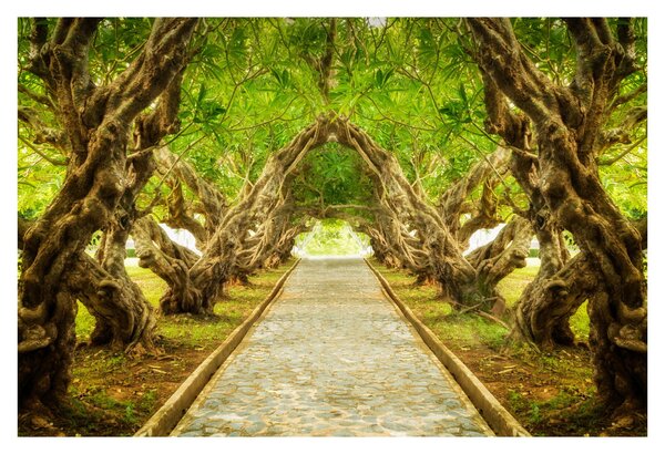 Tablou - Tunel viu din plumeria (90x60 cm)